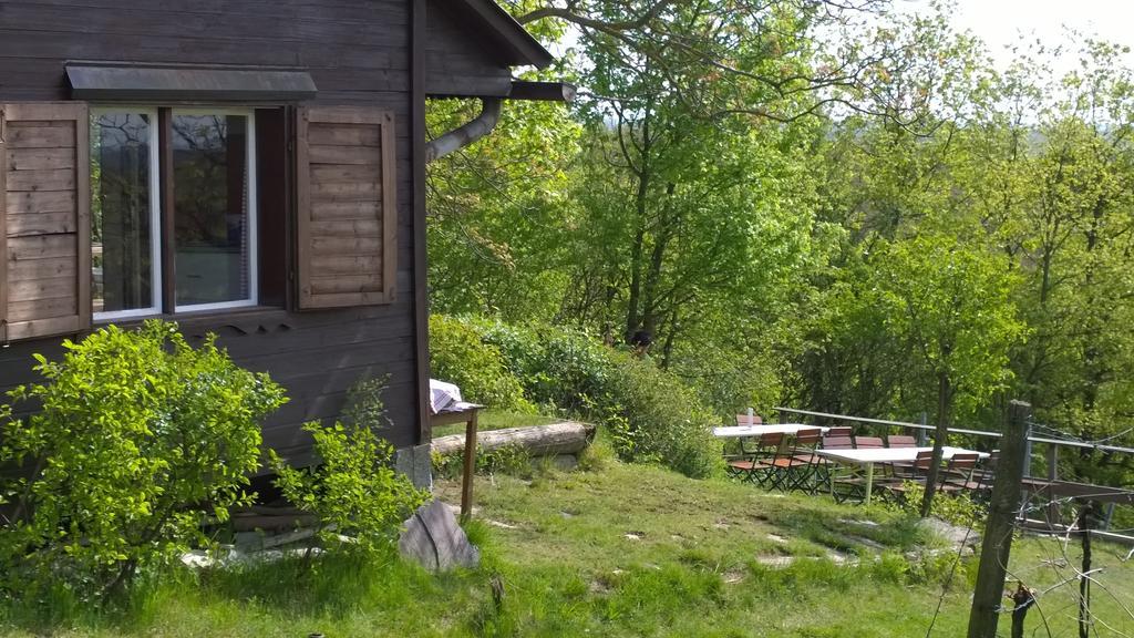 Traubengarten Winkler Niederhollabrunn Ngoại thất bức ảnh